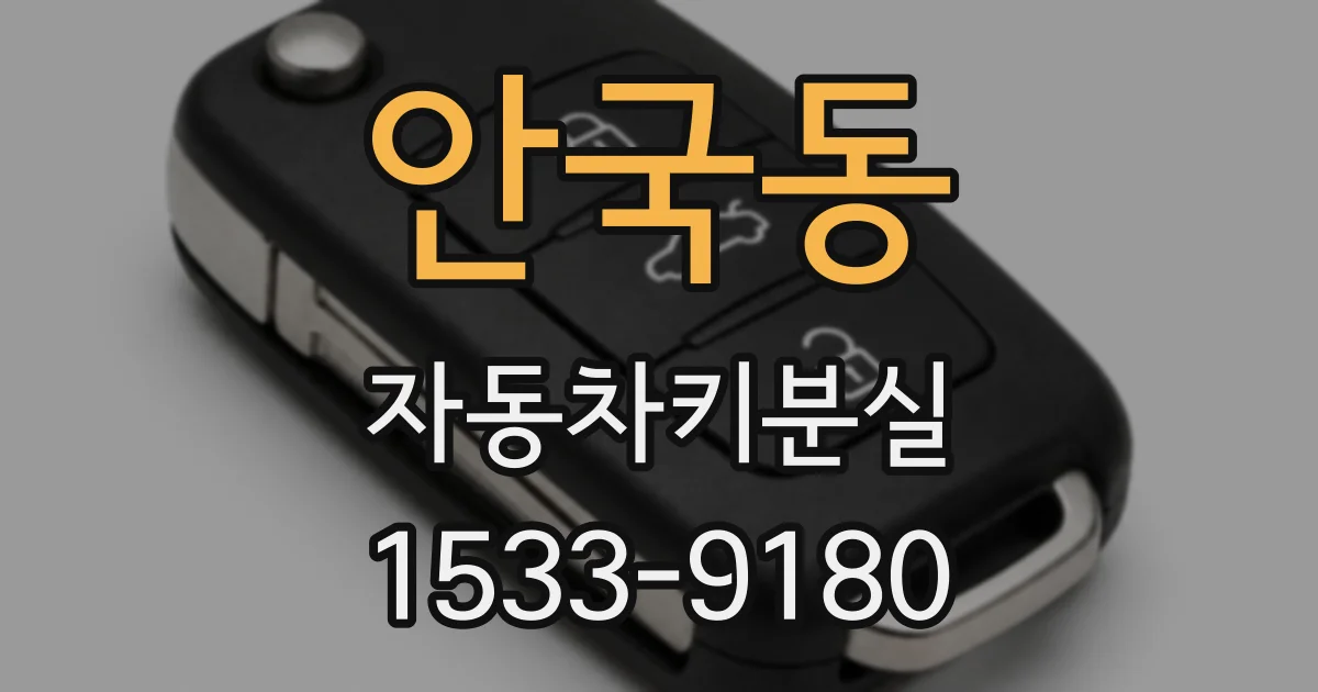 안국동 자동차키분실