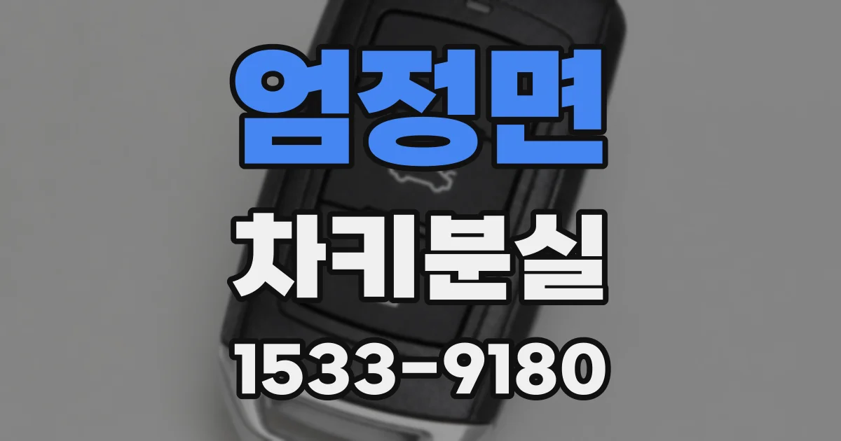 엄정면 차키분실