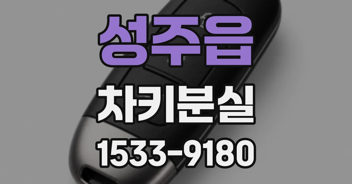 성주읍 차키분실