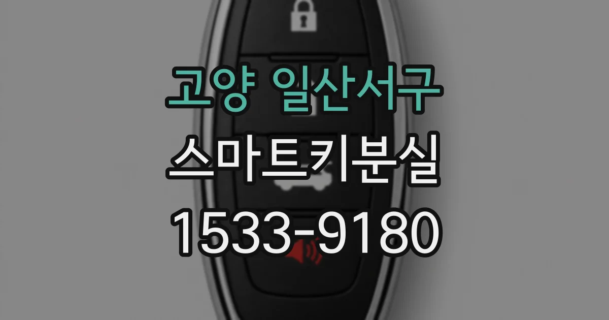 고양 일산서구 스마트키분실