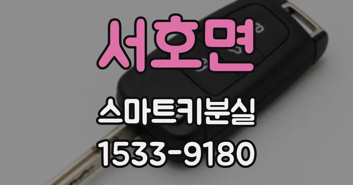 서호면 스마트키분실