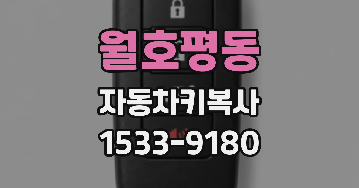 월호평동 자동차키복사