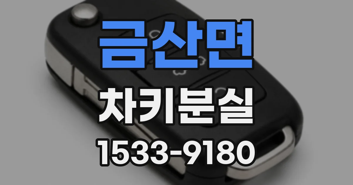 금산면 차키분실