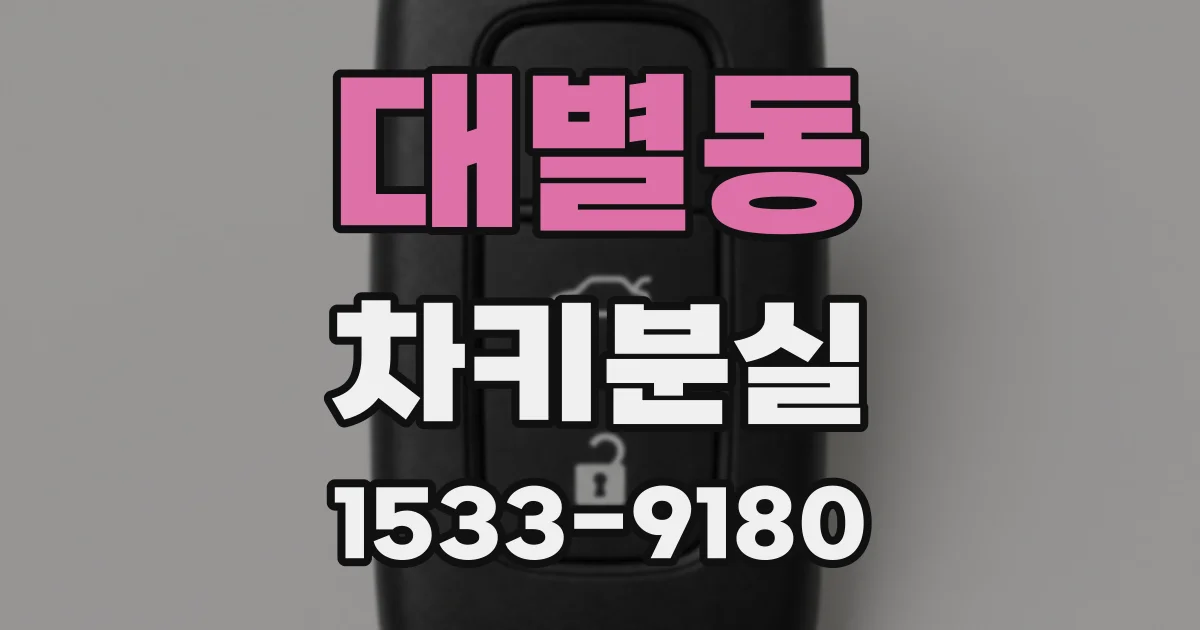 대별동 차키분실