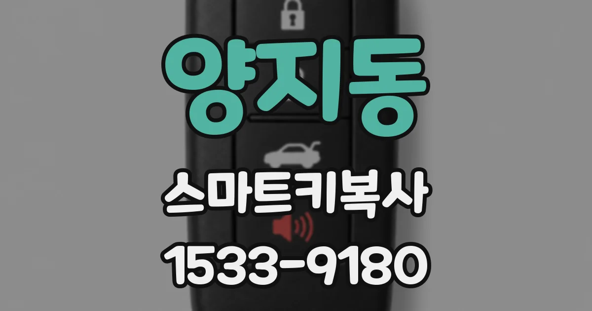 양지동 스마트키복사