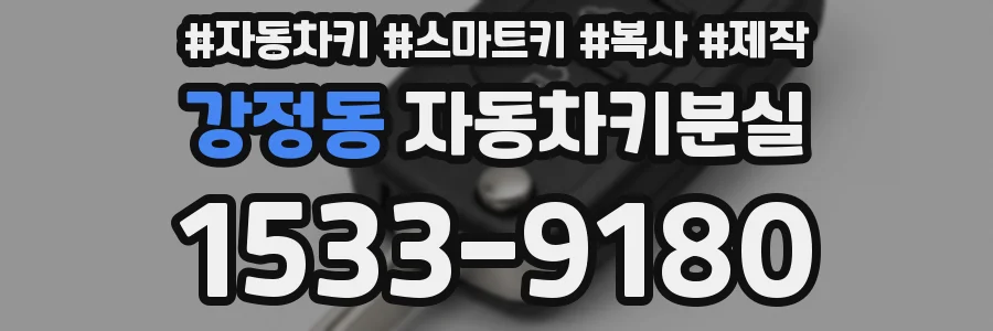 강정동 자동차키분실