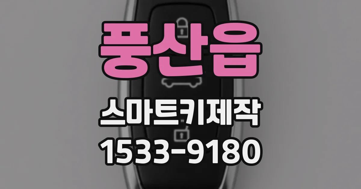 풍산읍 스마트키제작