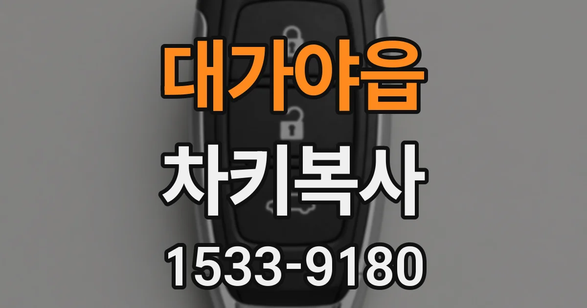 대가야읍 차키복사