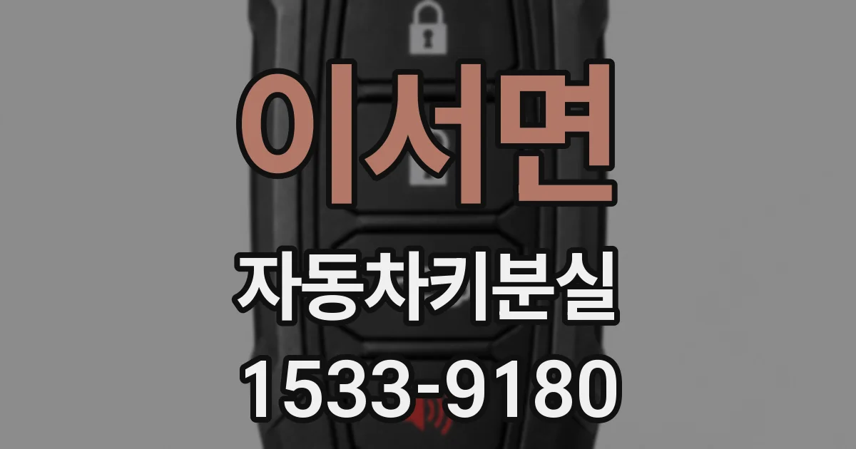 이서면 자동차키분실