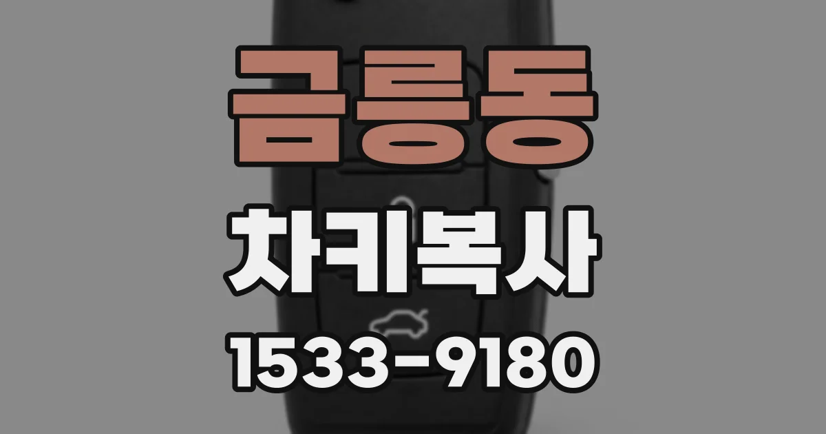 금릉동 차키복사