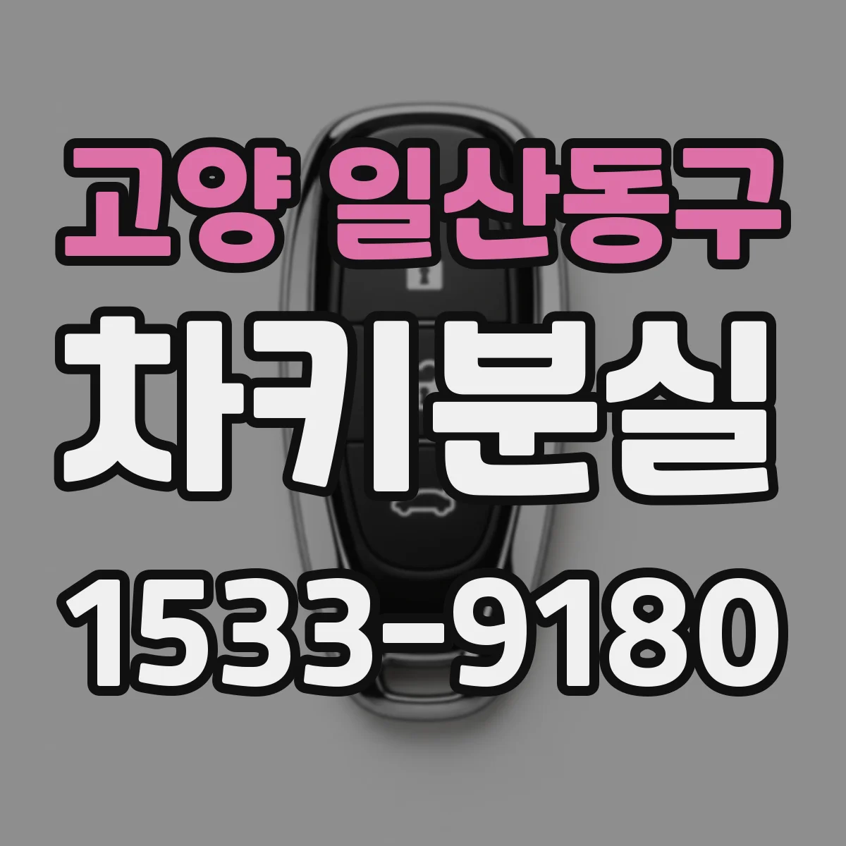 고양 일산동구 차키분실