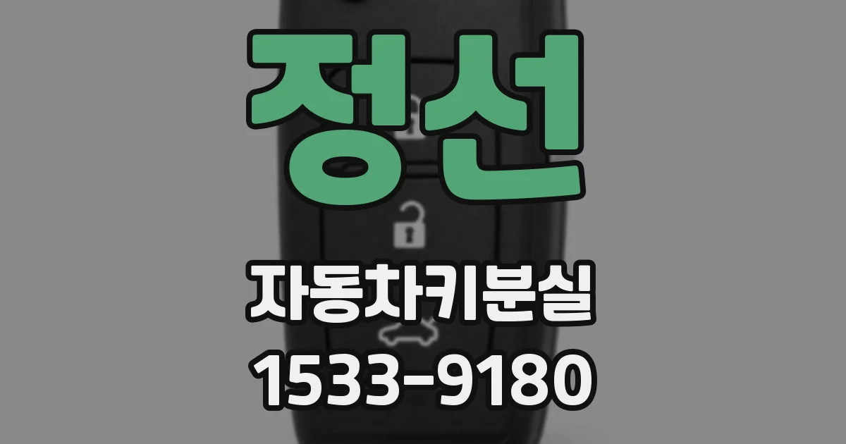 정선 자동차키분실
