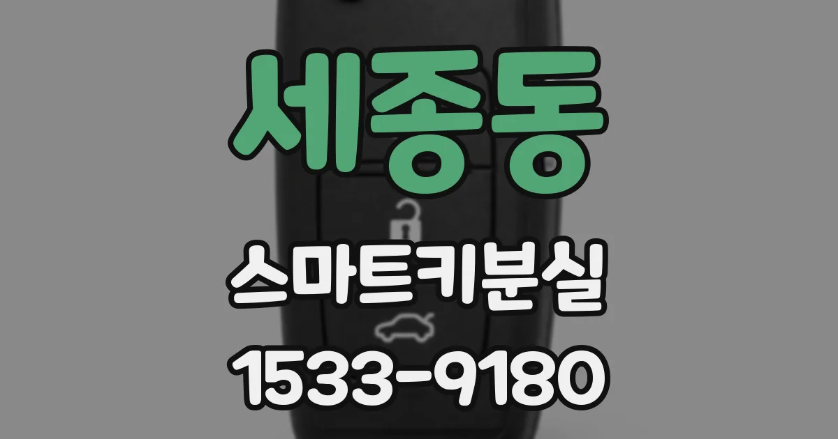 세종동 스마트키분실