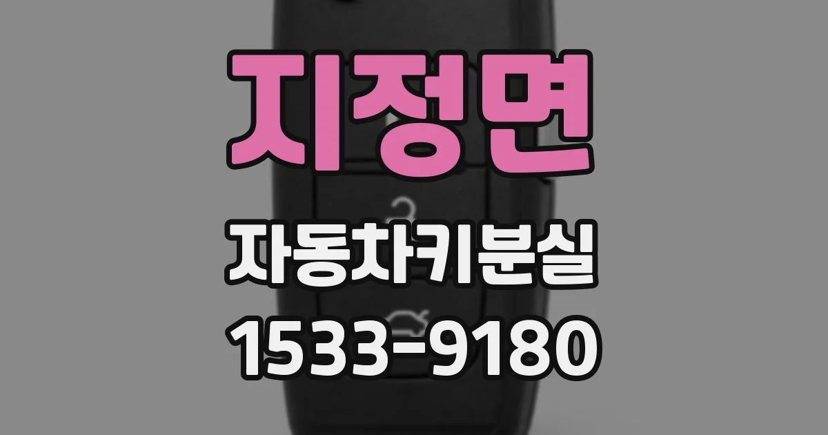 지정면 자동차키분실