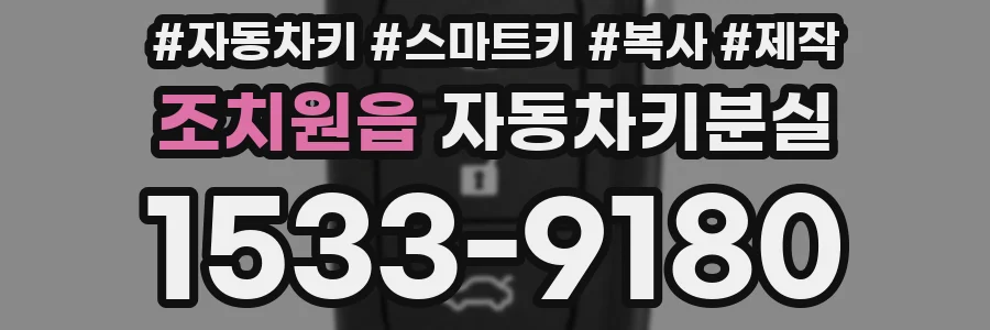 조치원읍 자동차키분실