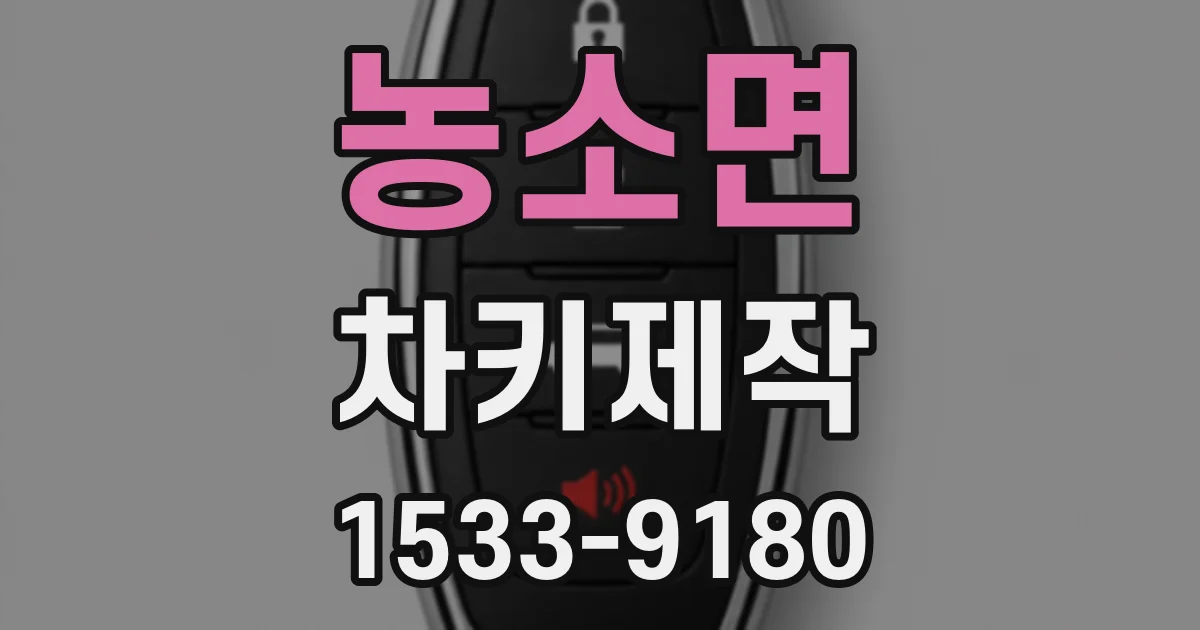 농소면 차키제작