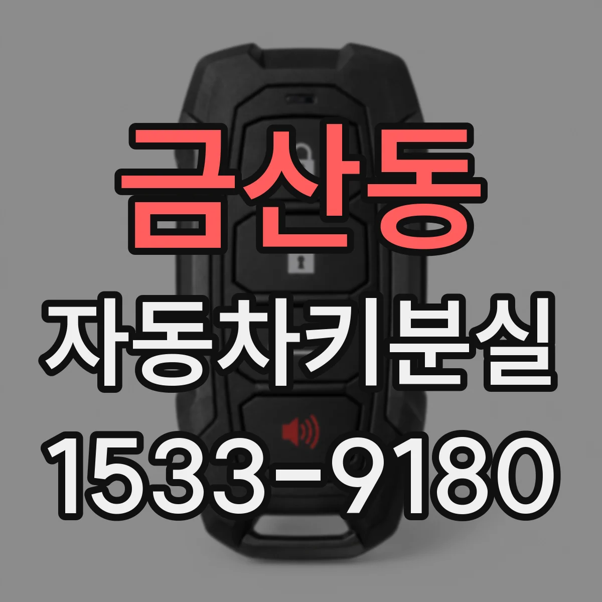 금산동 자동차키분실