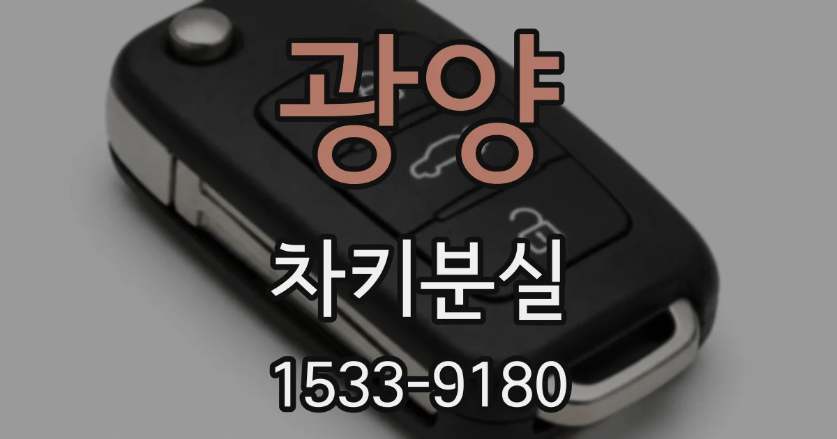 광양 차키분실