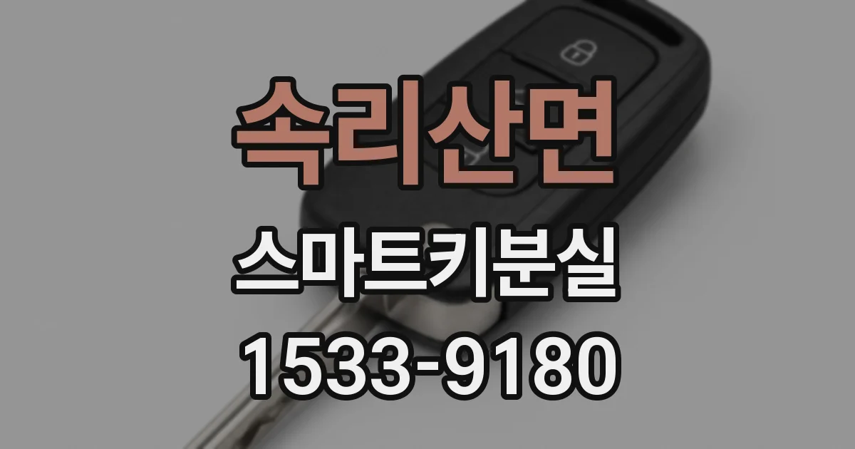 속리산면 스마트키분실