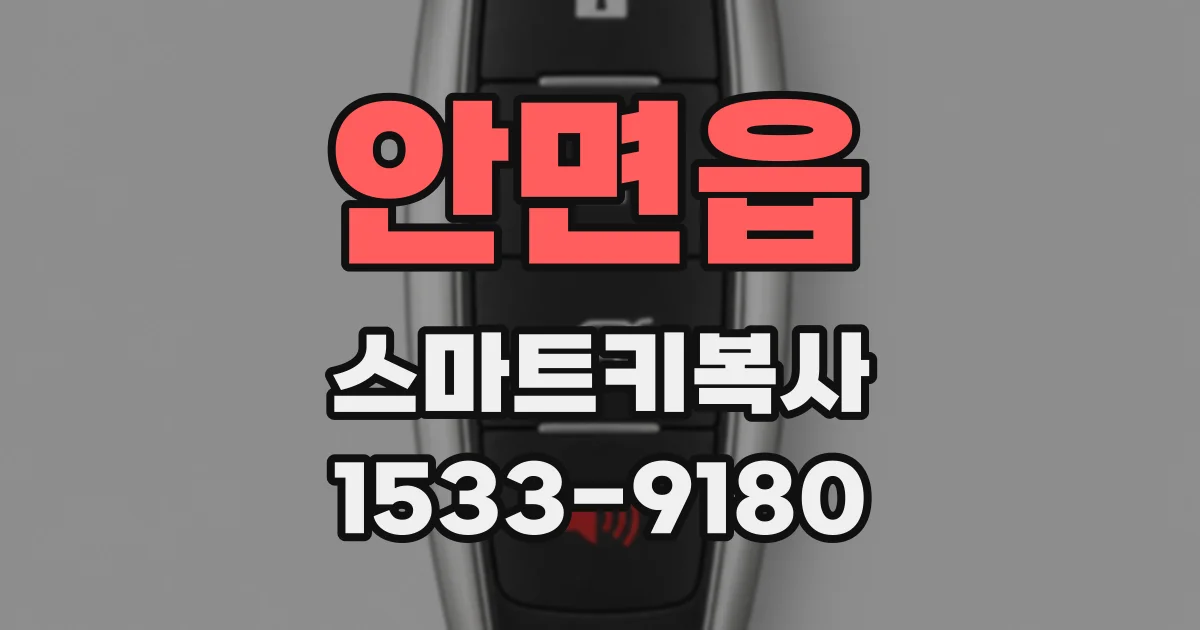 안면읍 스마트키복사