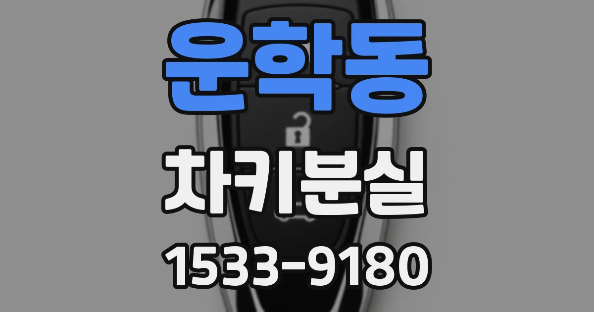 운학동 차키분실