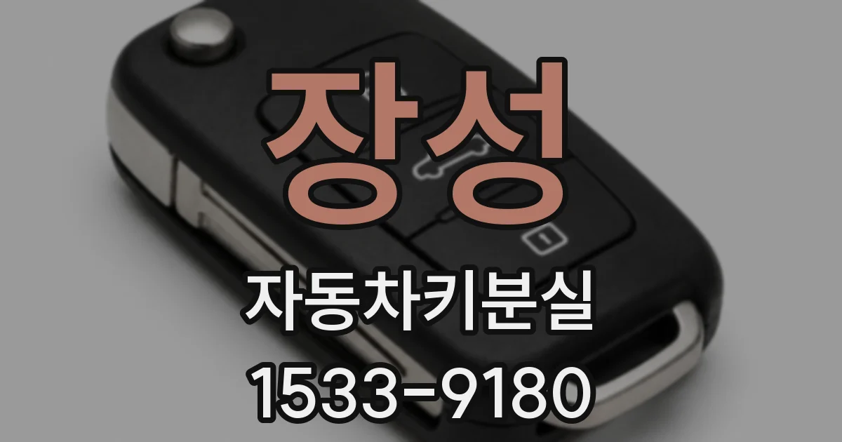 장성 자동차키분실