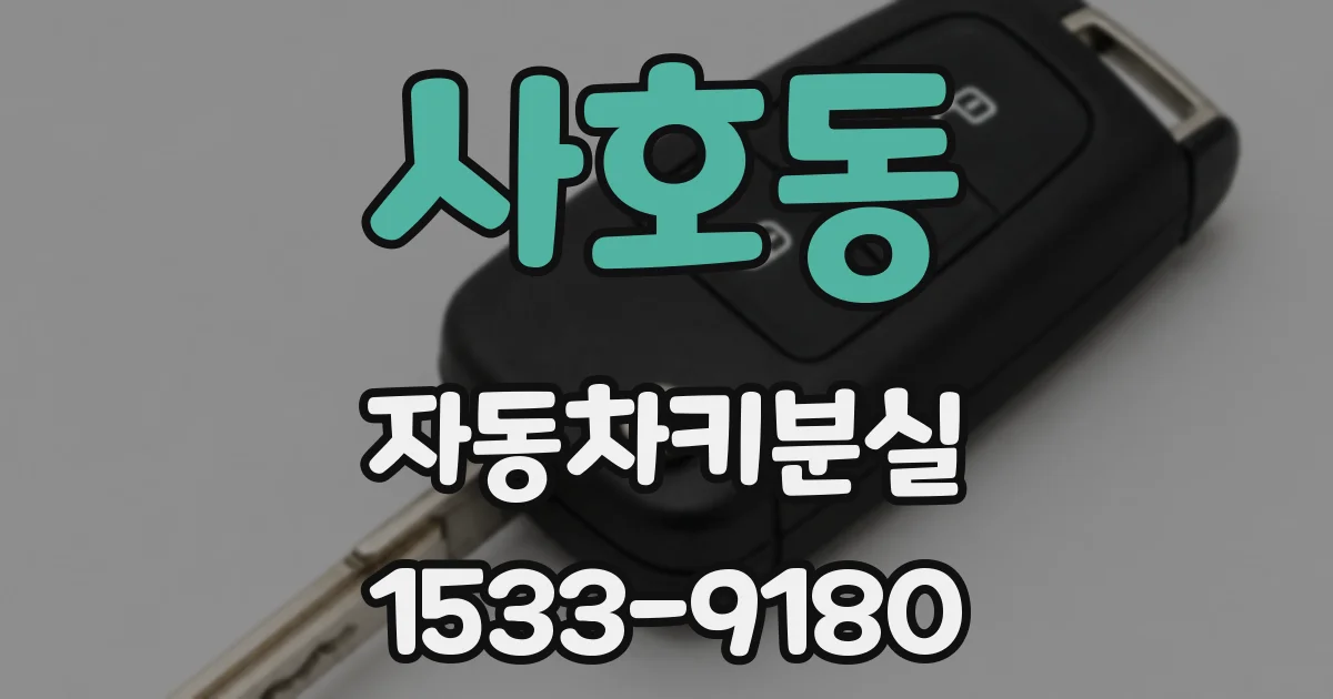 사호동 자동차키분실