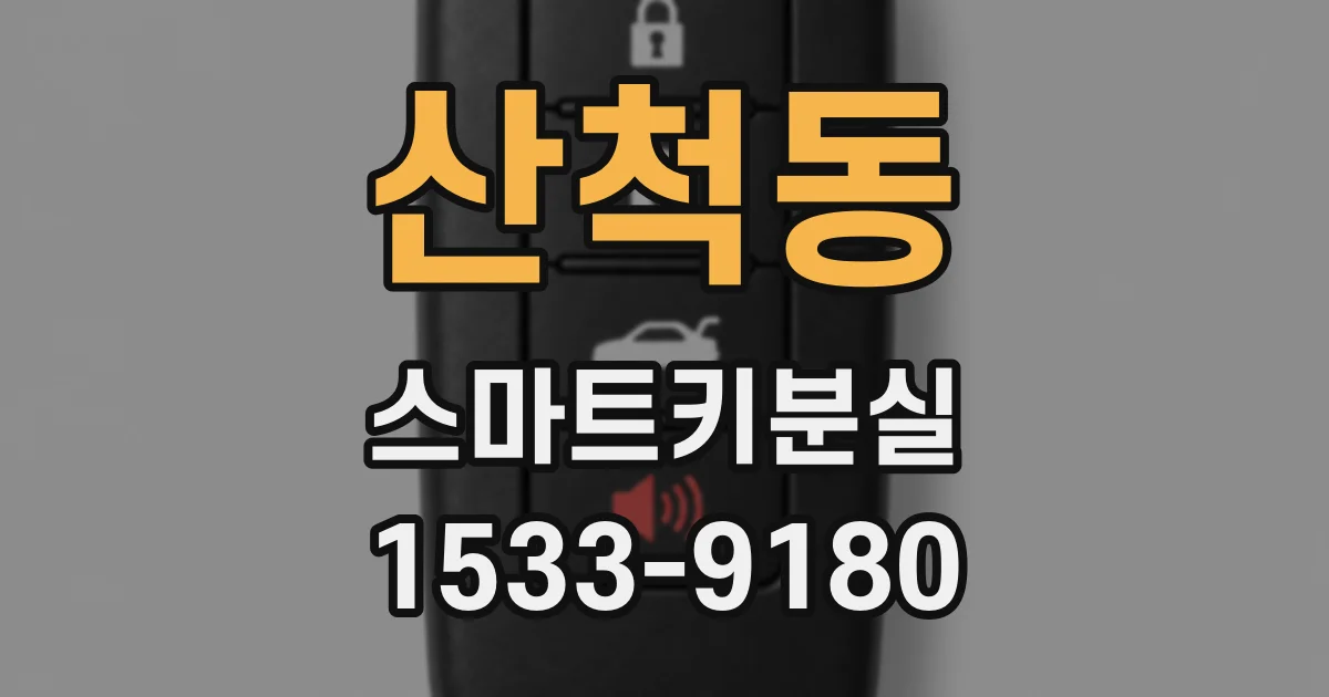 산척동 스마트키분실