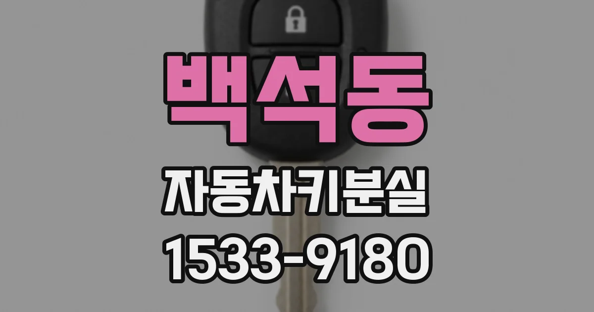 백석동 자동차키분실