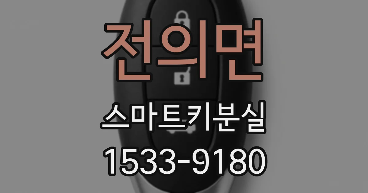 전의면 스마트키분실