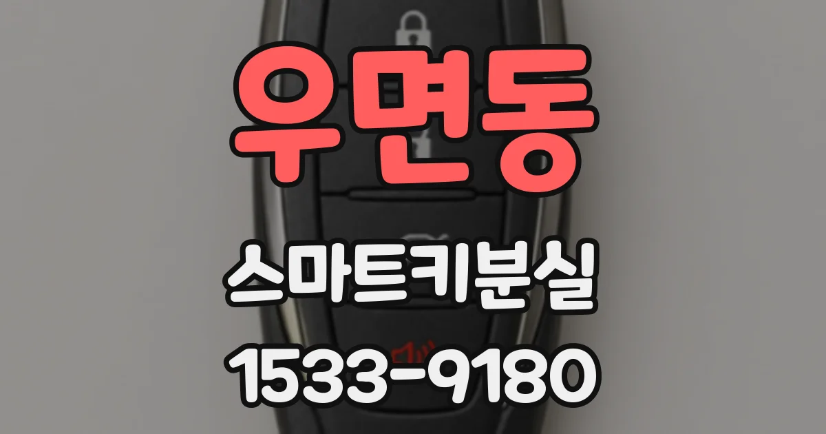 우면동 스마트키분실