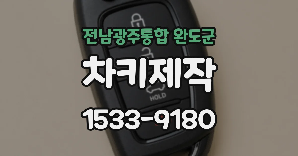 전남광주통합 완도군 차키제작