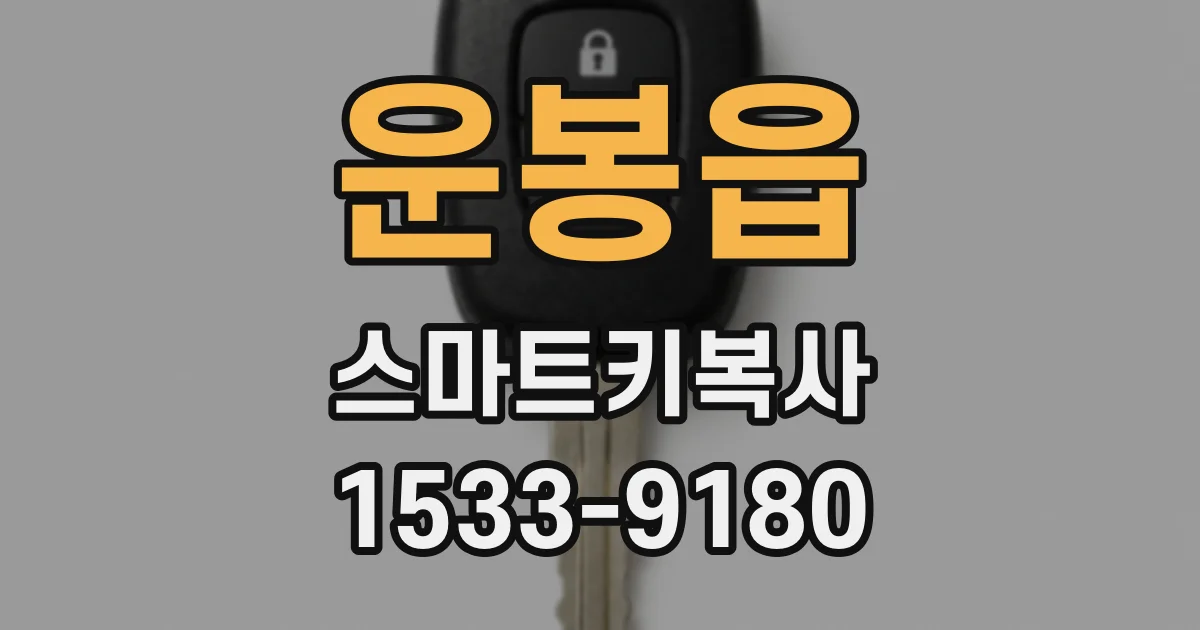 운봉읍 스마트키복사