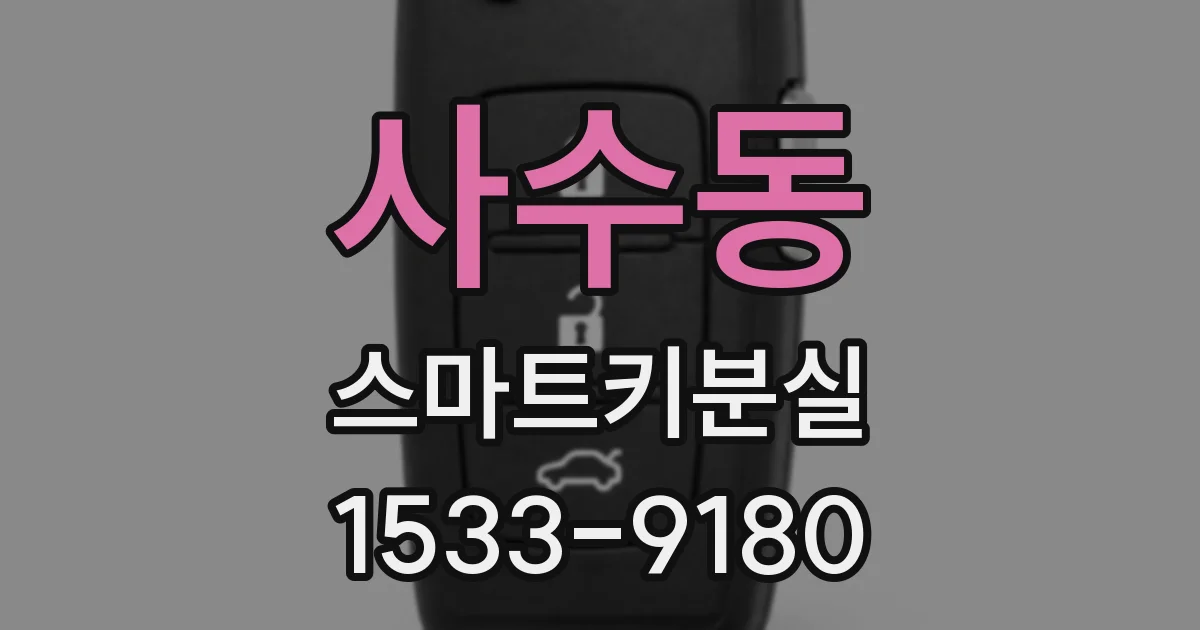 사수동 스마트키분실
