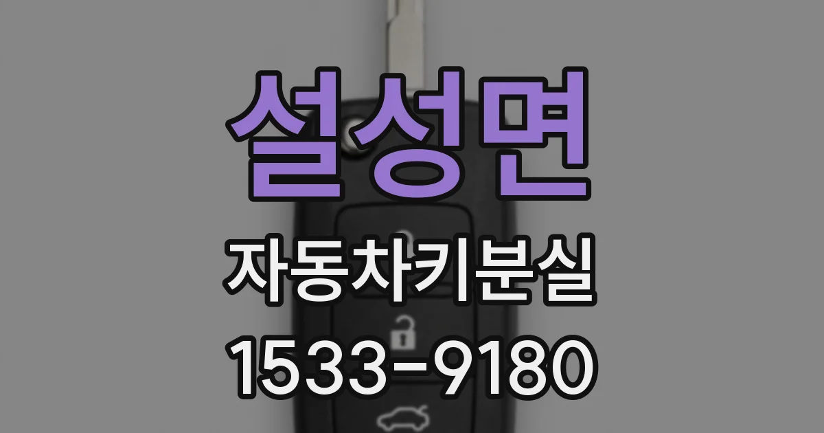 설성면 자동차키분실