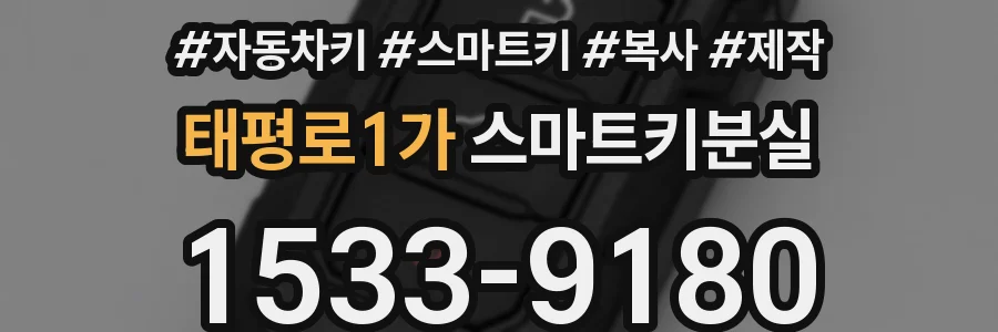 태평로1가 스마트키분실