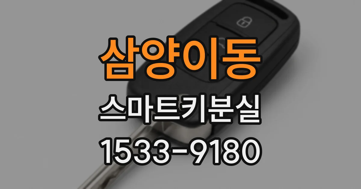 삼양이동 스마트키분실