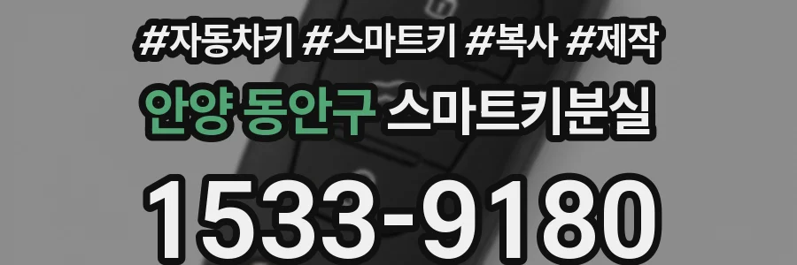 안양 동안구 스마트키분실