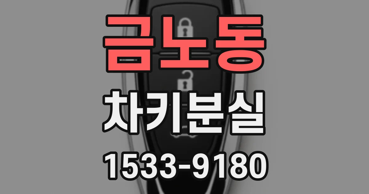 금노동 차키분실