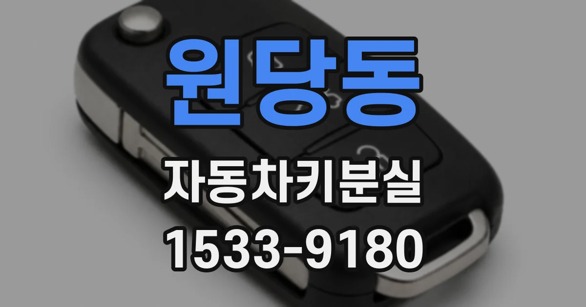 원당동 자동차키분실