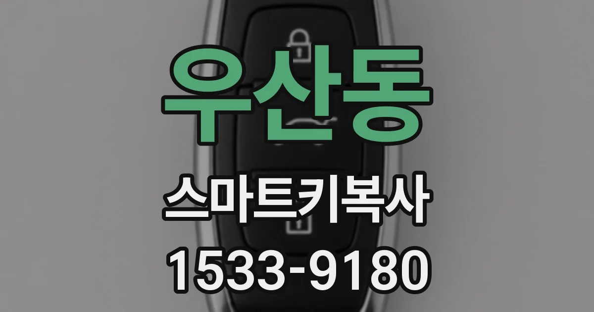 우산동 스마트키복사