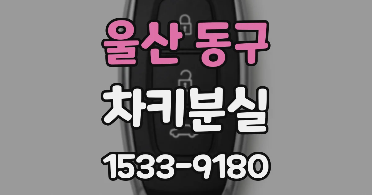 울산 동구 차키분실