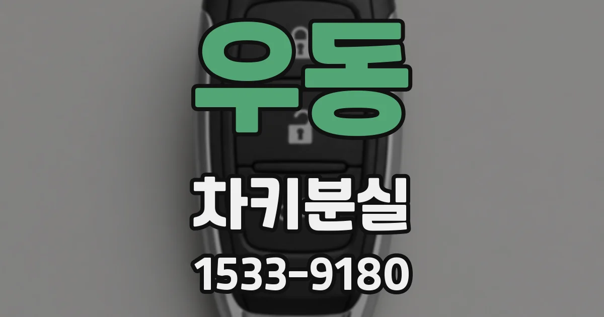 우동 차키분실