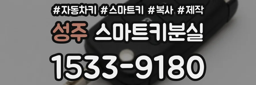 성주 스마트키분실