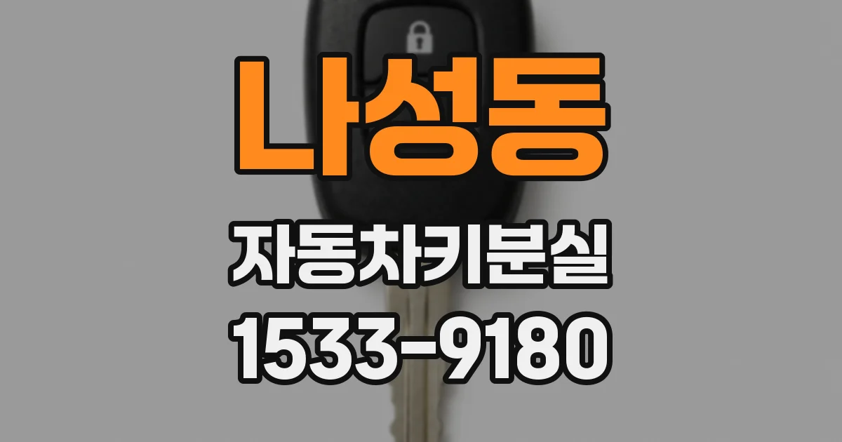나성동 자동차키분실