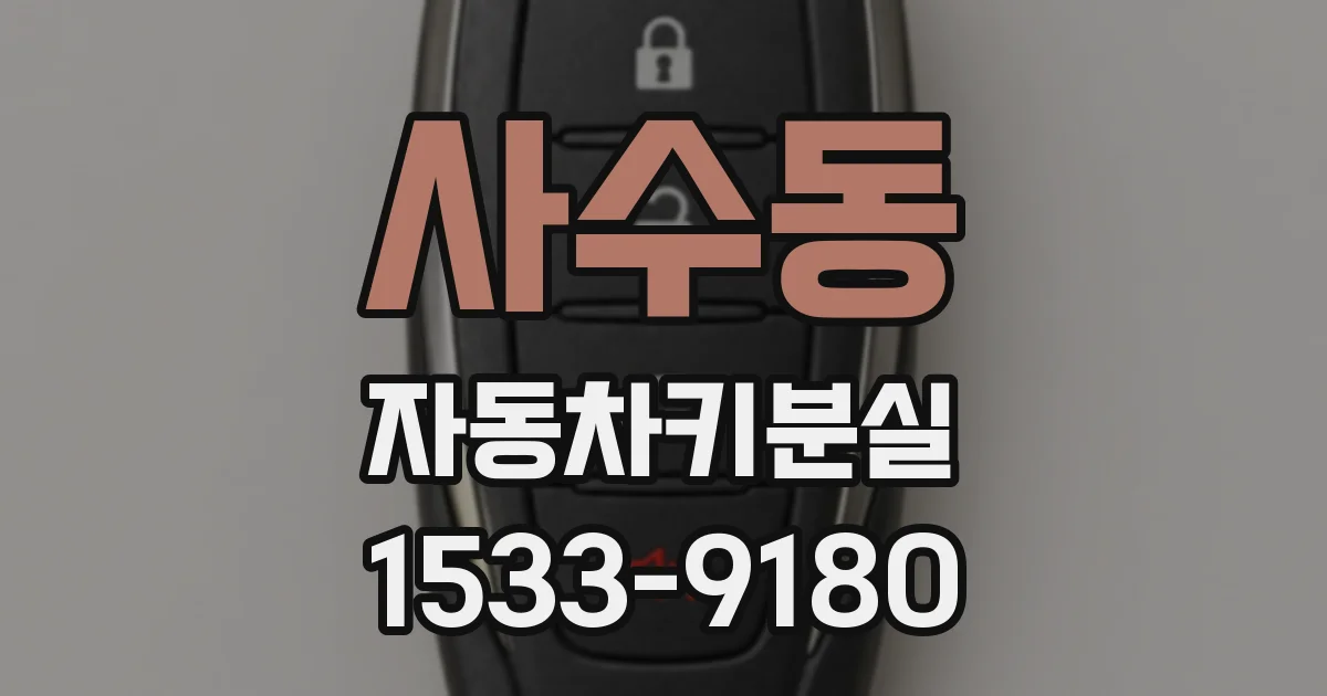 사수동 자동차키분실