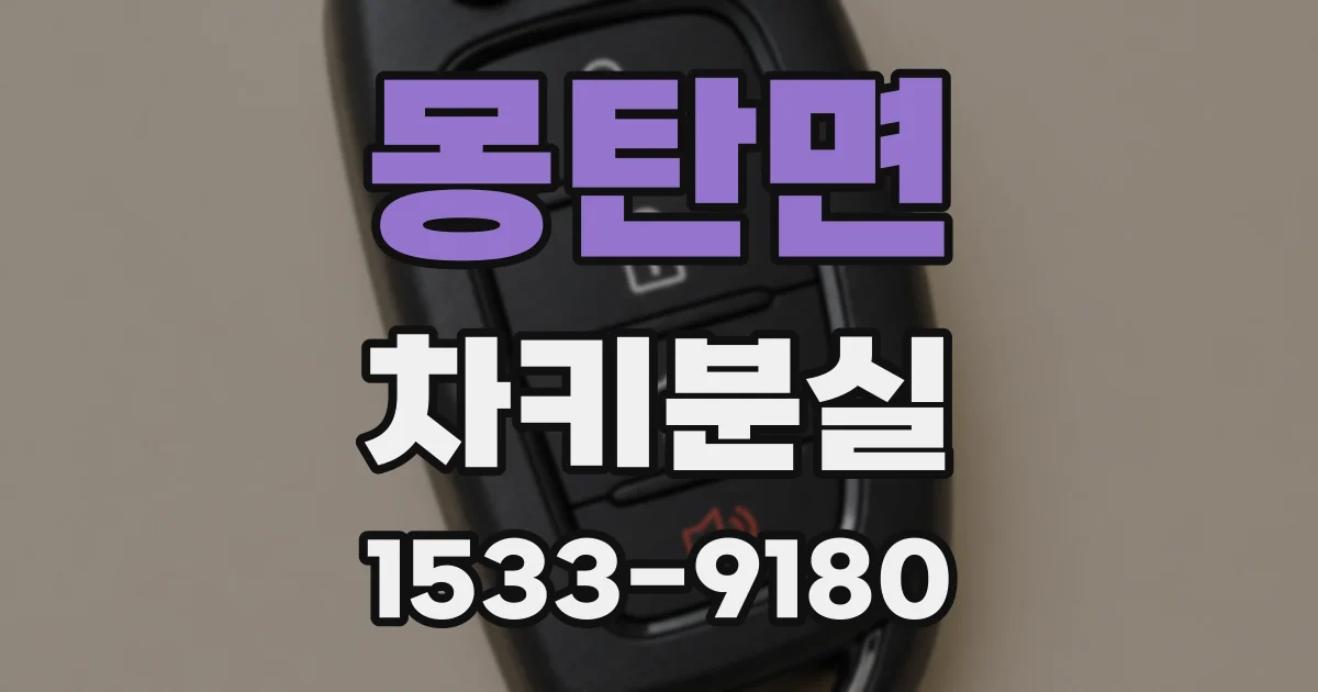 몽탄면 차키분실