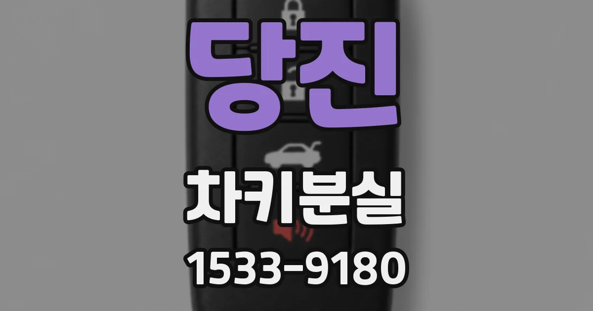 당진 차키분실
