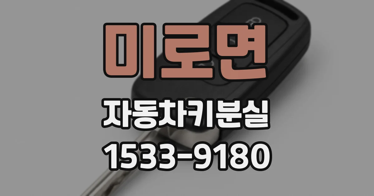 미로면 자동차키분실