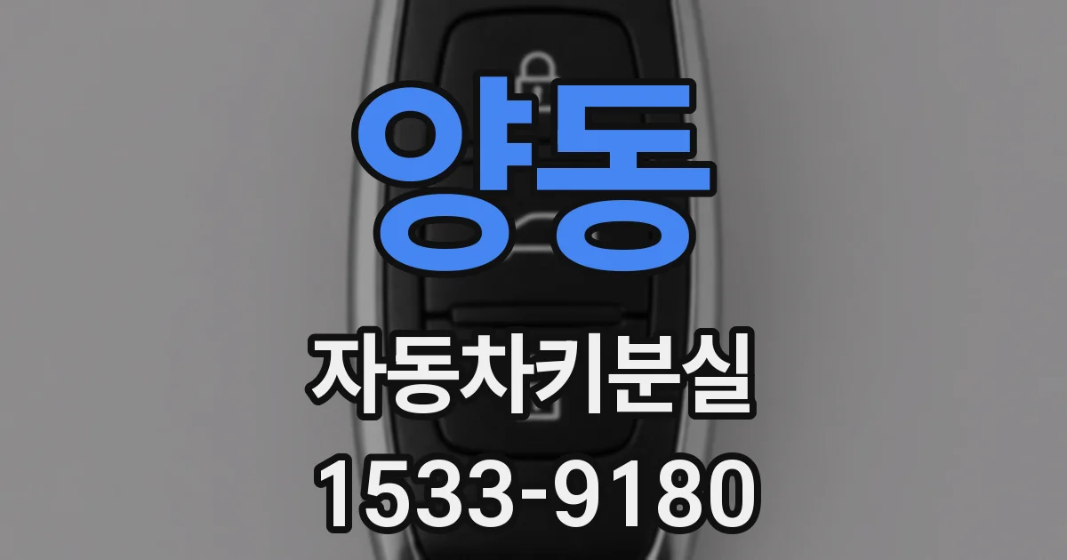 양동 자동차키분실